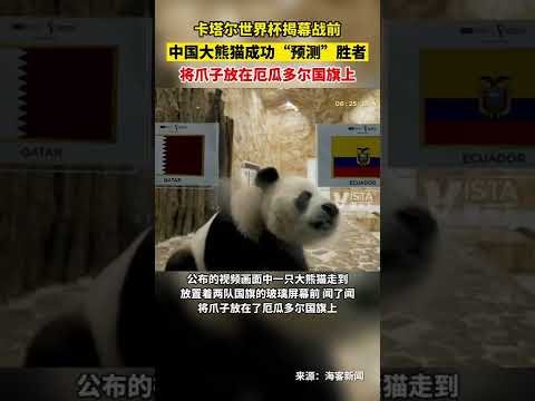 筠连山体滑,坡受灾群众,安全转移完,乐鱼体育,乐鱼体育入口,乐鱼体育平台,乐鱼体育官方